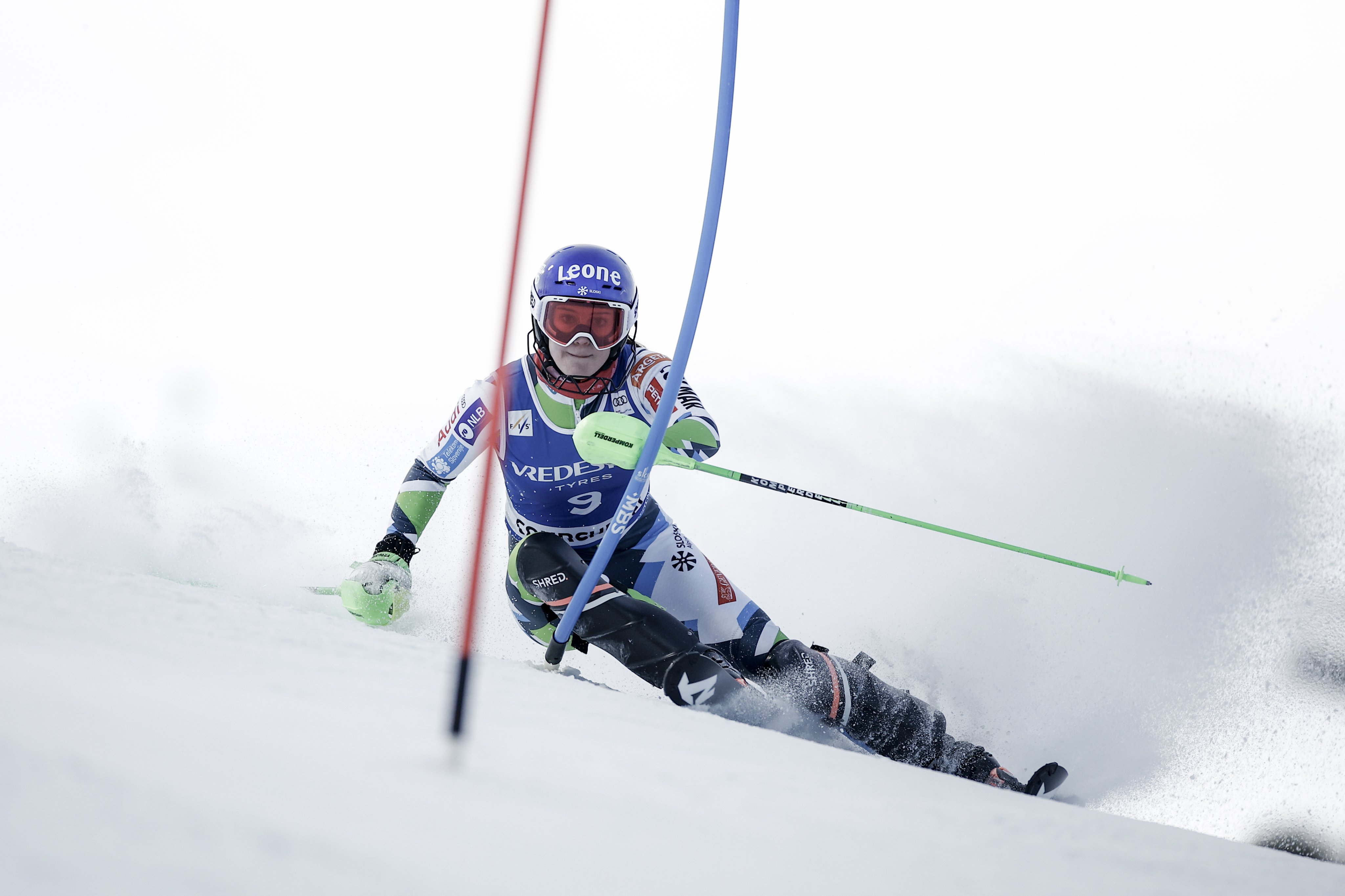 Ski Clubs & Teams